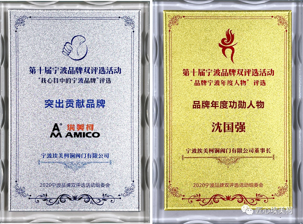 埃美柯AMICO品牌荣获“突出贡献品牌”奖项 埃美